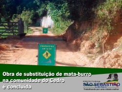 Imagem Notícia